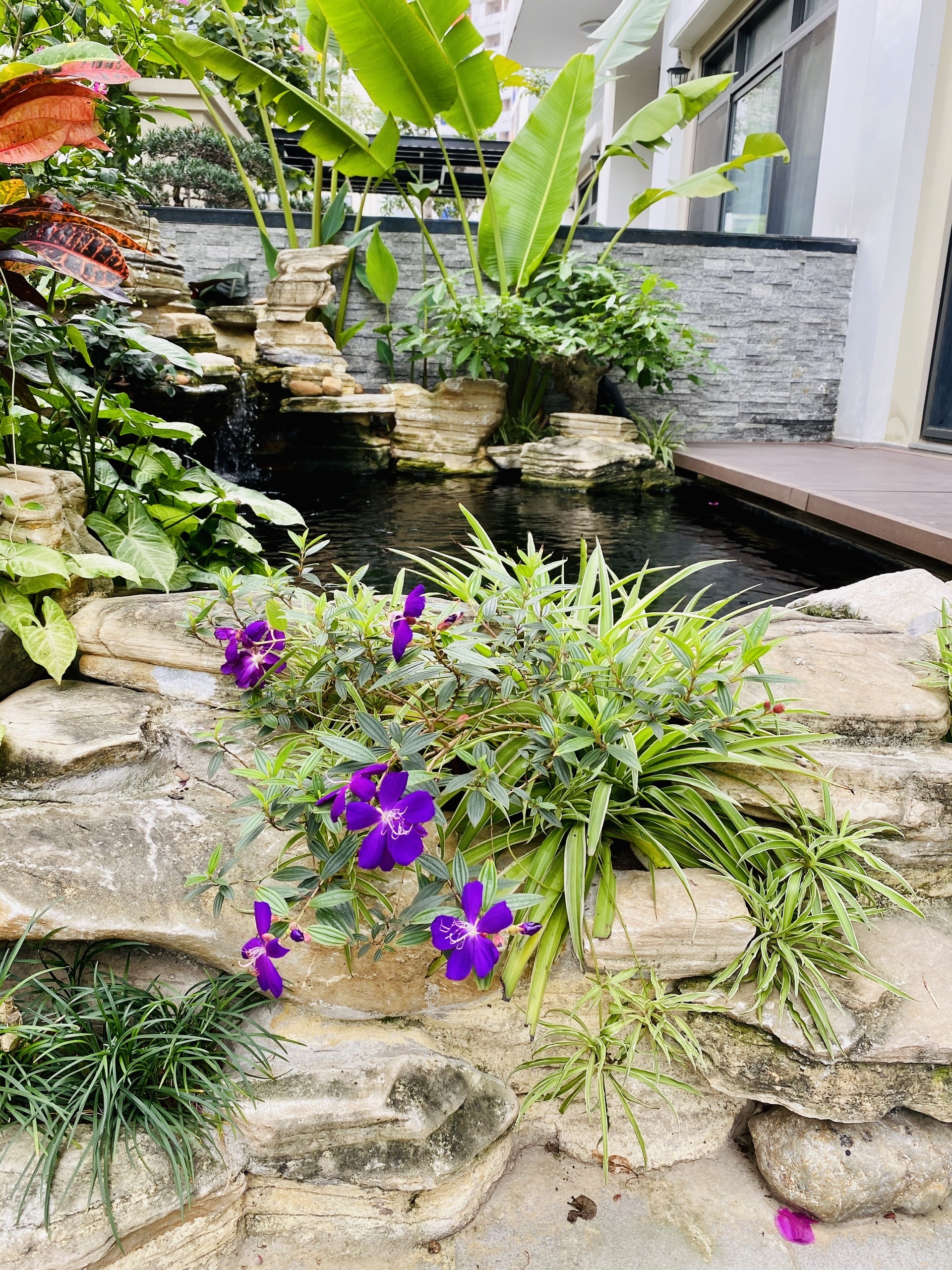 Bán biệt thự song lập Starlake diện tích 192.8m2 hướng Nam - Giá: 680 triệu VNĐ/m2 có VAT