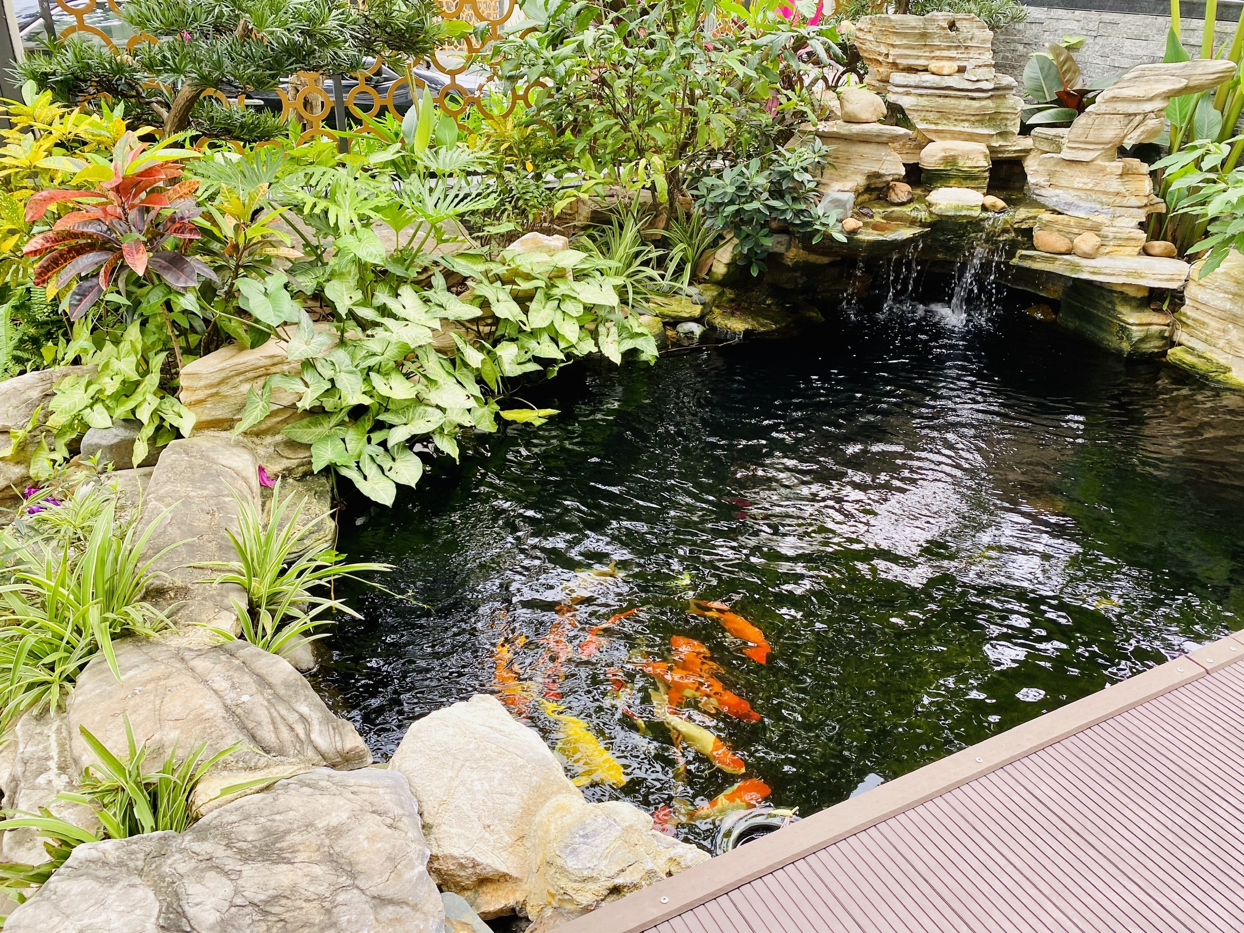 Bán biệt thự song lập Starlake diện tích 192.8m2 hướng Nam - Giá: 680 triệu VNĐ/m2 có VAT