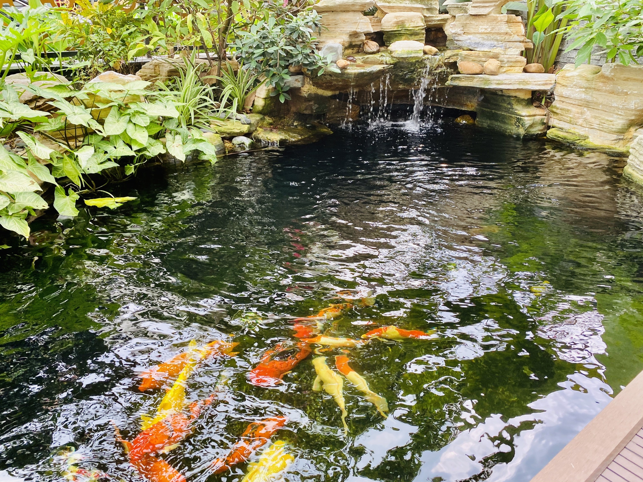 Bán biệt thự song lập Starlake diện tích 192.8m2 hướng Nam - Giá: 680 triệu VNĐ/m2 có VAT