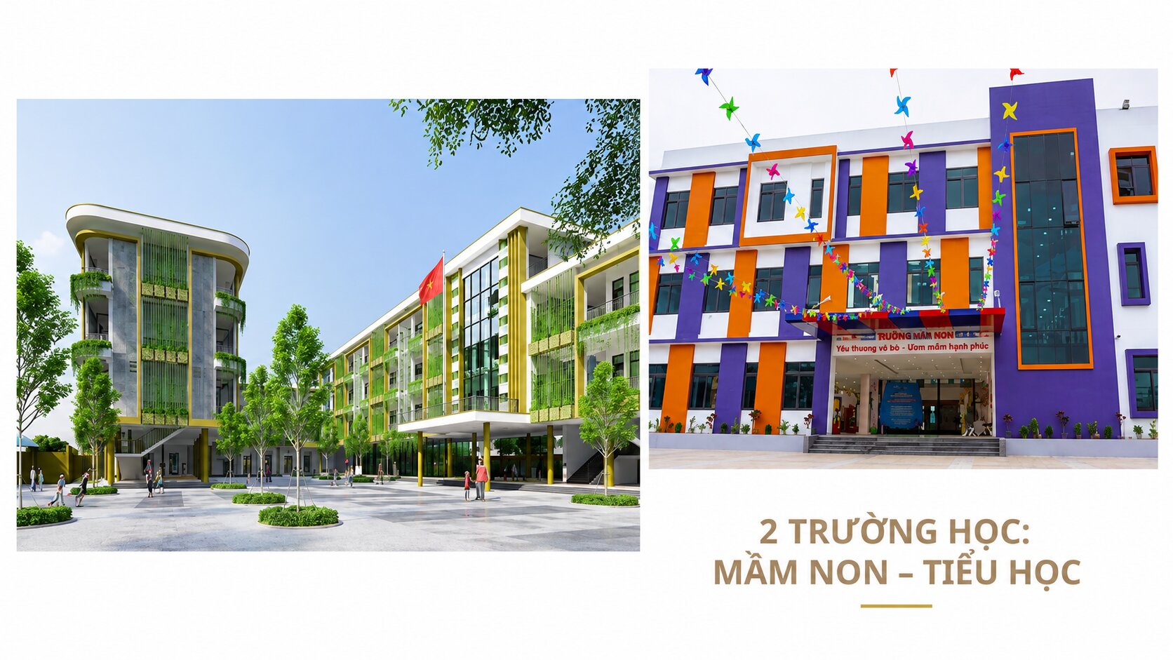 Mầm non - tiểu học liên cấp